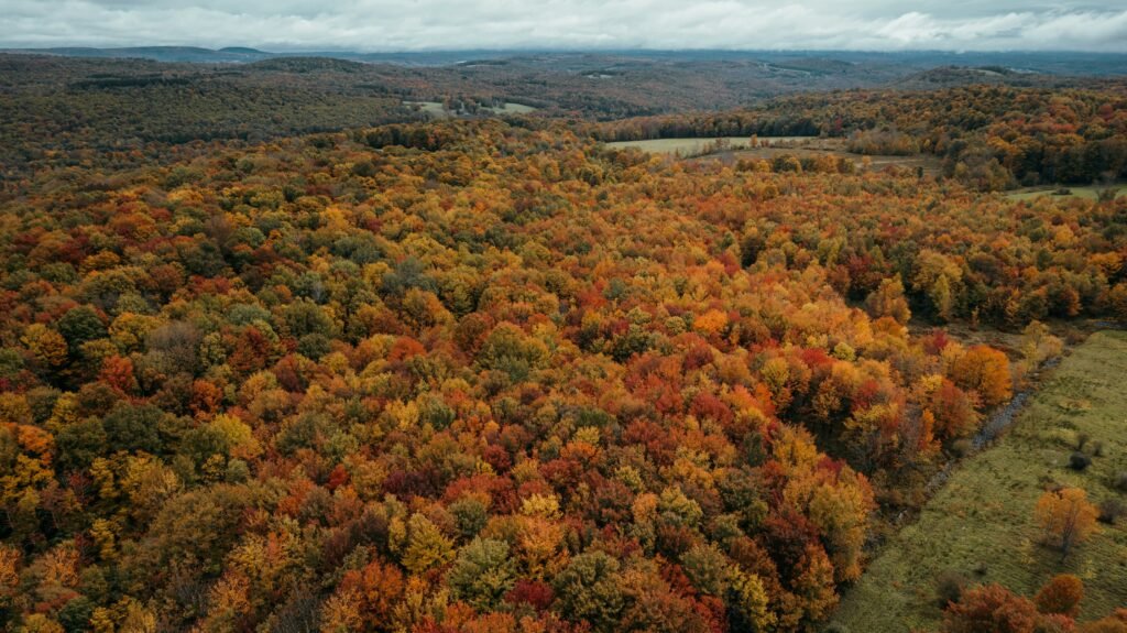 Scenic view of road trip spots in New York, featuring Ithaca, Watkins Glen, and Niagara Falls.